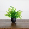 image:imageNearly Natural 7 in Artificial Mixed Botanical Plant Black Pot Set of 4