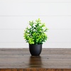 image:imageNearly Natural 7 in Artificial Mixed Botanical Plant Black Pot Set of 4