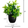image:imageNearly Natural 7 in Artificial Mixed Botanical Plant Black Pot Set of 4