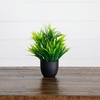 image:imageNearly Natural 7 in Artificial Mixed Botanical Plant Black Pot Set of 4