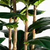 image:imageNearly Natural 7ft Artificial Fiddle Leaf Tree in Decorative White Planter