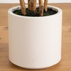 image:imageNearly Natural 7ft Artificial Fiddle Leaf Tree in Decorative White Planter