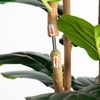image:imageNearly Natural 7ft Artificial Fiddle Leaf Tree in Decorative White Planter
