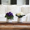 image:imageNearly Natural 8 in Artificial African Violet Plant in Vase Room Decor