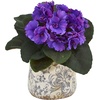 image:imageNearly Natural 8 in Artificial African Violet Plant in Vase Room Decor