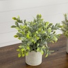 image:imageNearly Natural 8 in Artificial Mini Eucalyptus Potted Plants Set of 3