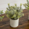 image:imageNearly Natural 8 in Artificial Mini Eucalyptus Potted Plants Set of 3