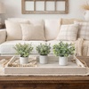 image:imageNearly Natural 8 in Artificial Mini Eucalyptus Potted Plants Set of 3