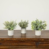 image:imageNearly Natural 8 in Artificial Mini Eucalyptus Potted Plants Set of 3