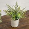 image:imageNearly Natural 8 in Artificial Mini Eucalyptus Potted Plants Set of 3