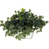 image:imageNearly Natural Ivy with White Wash Planter Silk Plant