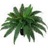 image:imageNearly Natural 24 in Artificial SelfShaped Boston Fern Plant