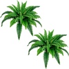 image:imageNearly Natural 32in Boston Fern Set of 2  Realistic Artificial Fern Plants with Flexible Branches and Lifelike Leaves LowMaintenance Indoor Ferns for Home and Office Decor