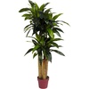 image:imageNearly Natural 4 ft Artificial Corn Stalk Dracaena RealTouch Floor Plant