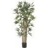 image:imageNearly Natural 5214 Bambusa Bamboo Silk Tree 6Feet Green 72 in4ft