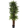 image:imageNearly Natural 65 ft Artificial Dracaena Tree with Pot Indoor Floor Plant