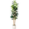 image:imageNearly Natural 7ft Artificial Fiddle Leaf Tree in Decorative White Planter