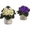 image:imageNearly Natural 8 in Artificial African Violet Plant in Vase Room Decor