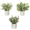 image:imageNearly Natural 8 in Artificial Mini Eucalyptus Potted Plants Set of 3