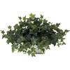 image:imageNearly Natural Ivy with White Wash Planter Silk Plant