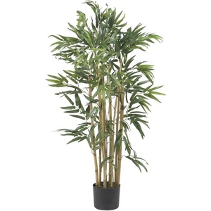 image:imageNearly Natural 5214 Bambusa Bamboo Silk Tree 6Feet Green 72 in3ft