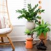 image:imageNearly Natural 28 in Artificial ZZ Plant with Planter for Home Office Decor