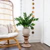 image:imageNearly Natural 28 in Artificial ZZ Plant with Planter for Home Office Decor