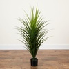 image:imageNearly Natural 4 ft UVResistant Artificial Grass Plant with Pot