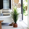 image:imageNearly Natural 4 ft UVResistant Artificial Grass Plant with Pot