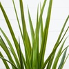 image:imageNearly Natural 4 ft UVResistant Artificial Grass Plant with Pot