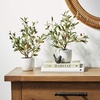 image:imageNearly Natural 18in Olive Silk Tree with Vase Set of 2