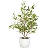 image:imageNearly Natural 18in Olive Silk Tree with Vase Set of 2