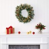 image:imageNearly Natural 24 PreLit Artificial Frosted Swiss Pine Christmas Wreath