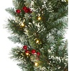 image:imageNearly Natural 24 PreLit Artificial Frosted Swiss Pine Christmas Wreath