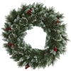image:imageNearly Natural 24 PreLit Artificial Frosted Swiss Pine Christmas Wreath