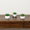 image:imageNearly Natural 5 in Artificial Succulent Garden White Planter Set of 24 in