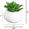 image:imageNearly Natural 5 in Artificial Succulent Garden White Planter Set of 24 in