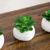 image:imageNearly Natural 5 in Artificial Succulent Garden White Planter Set of 24 in