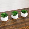 image:imageNearly Natural 5 in Artificial Succulent Garden White Planter Set of 24 in