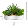 image:imageNearly Natural 5 in Artificial Succulent Garden White Planter Set of 25 in