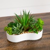 image:imageNearly Natural 5 in Artificial Succulent Garden White Planter Set of 25 in