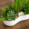 image:imageNearly Natural 5 in Artificial Succulent Garden White Planter Set of 25 in