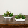 image:imageNearly Natural 5 in Artificial Succulent Garden White Planter Set of 25 in