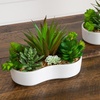 image:imageNearly Natural 5 in Artificial Succulent Garden White Planter Set of 25 in