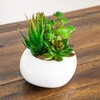 image:imageNearly Natural 5 in Artificial Succulent Garden White Planter Set of 26 in