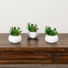 image:imageNearly Natural 5 in Artificial Succulent Garden White Planter Set of 26 in