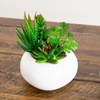 image:imageNearly Natural 5 in Artificial Succulent Garden White Planter Set of 26 in