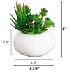 image:imageNearly Natural 5 in Artificial Succulent Garden White Planter Set of 26 in