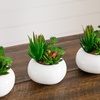 image:imageNearly Natural 5 in Artificial Succulent Garden White Planter Set of 26 in