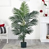 image:imageNearly Natural 5ft Kentia Palm Silk TreeGreen